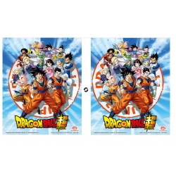 Cuadro 3D Goku and the Z Fighters DB Sup