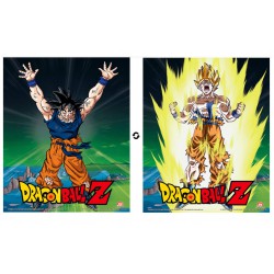 Cuadro 3D Power Levels Increased DB Z