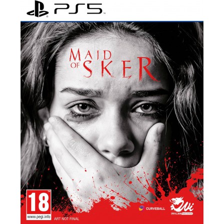 Maid of sker - PS5