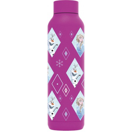 Bot.termo inox purple 630ml frozen diam.